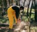 Lumberjack with firewood and chainsaw